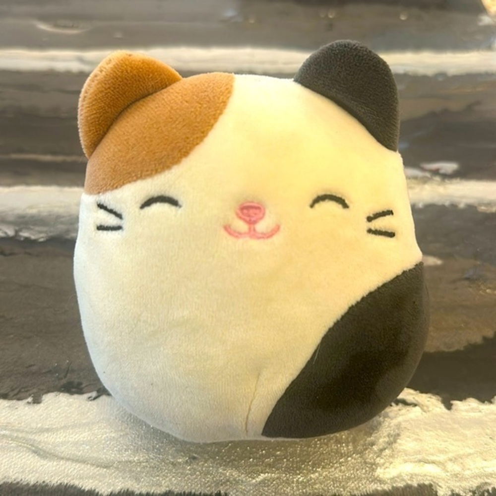 Squishmallows Cam the Cat 4” Plush
